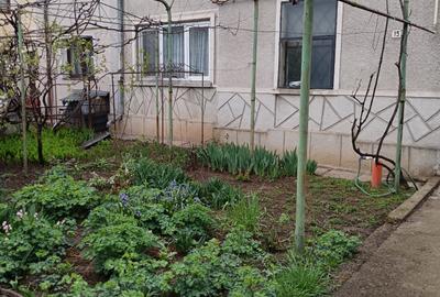 Casa zona Cantacuzino - 3
