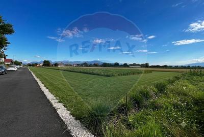 COMISION 0% Teren 578mp Brasov / Strada Fagurului - 1