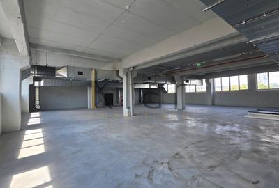 Spațiu comercial, de 1,008.00 mp, în Someșeni
