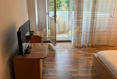 Garsoniera de închiriat - Vitan Mall-GATA DE MUTAT - 3