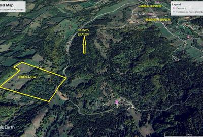 Teren Construcții extravilan de 126000 mp, în Glăjărie