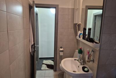 Apartament cu 3 camere și 2 băi în zona Tei Grigorie Ionescu - 13