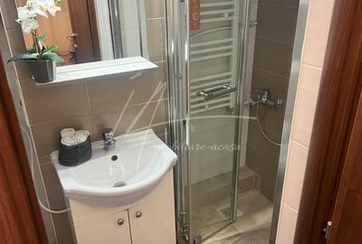 Apartament cu 2 camere -Sala Palatului-str. Ion Campineanu 23. Pet friendly. - 18