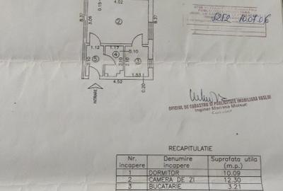 Vanzare apartament central luminos, ideal ptr persoane singure sau cuplu - 11