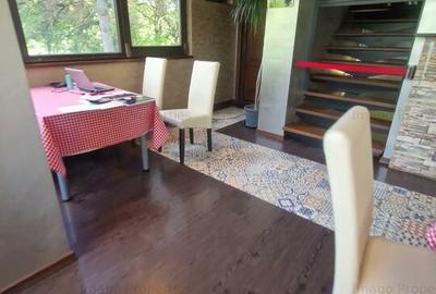 Oportunitate de investiție restaurant în Parcului Tineretului - 7