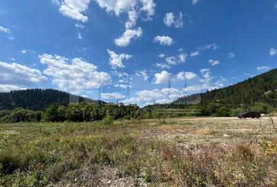 Teren Construcții intravilan de 226000000 mp, în Sucevița