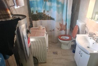 Casa 100m2 in zona Brad (Teren 1026m2) - 9
