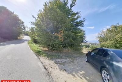 Comision 0. Teren cu autorizatie de construire in Salicea - 2