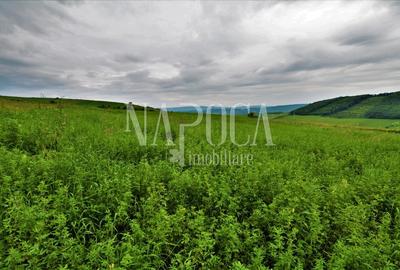 Teren extravilan pentru constructii de vanzare in Popesti - 2