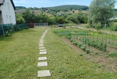 Teren intravilan de vânzare – Valea Ghinzi, Bistrița - 5