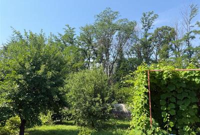 Casa din lemn masiv | 3 camere | Teren 5.000mp -Berceni Prahova - 13