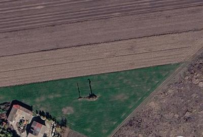 Teren agricol extravilan de 10000 mp, în Freidorf