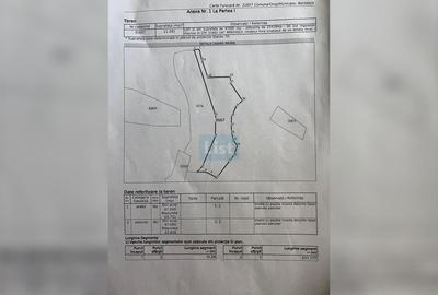 🌳 Oportunitate de Investiție: Teren Extravilan Generos langa Dunare - 3