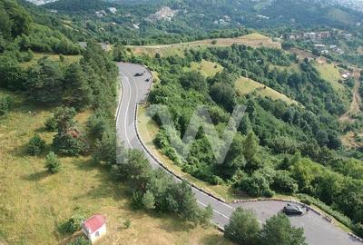 Teren Construcții intravilan de 6714 mp, în Drumul Poienii