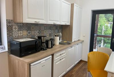 APARTAMENT PREMIUM DE VANZARE IN BUSTENI, CONSTRUCTIE 2023 - 4