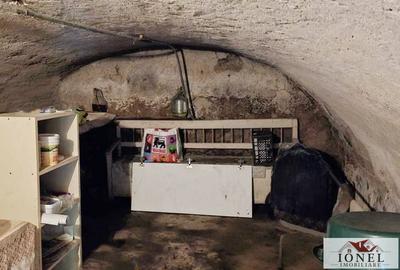 Vanzare casa in Almasu Mare -2650 mp teren - 5