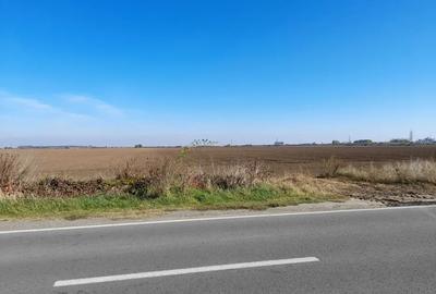 Teren agricol extravilan de 45000 mp, în Urziceni