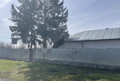 Mitreni-Valea Rosie-Acasa la Tara -4 camere-178 mp-LOT  1000 mp+Casa secundara - 43