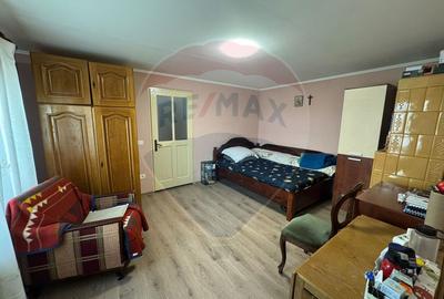 Casă / Vilă nouă cu 5 camere + casă bătranească renovată - 17
