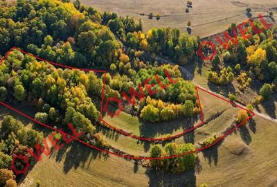 Teren extravilan de vânzare, la intrarea în zona turistică Bodvaj! - 5