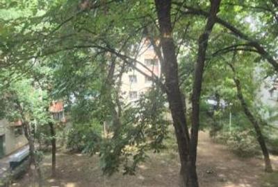 Apartament 2 camere de vanzare Teiul Doamnei Lacul Tei - 8
