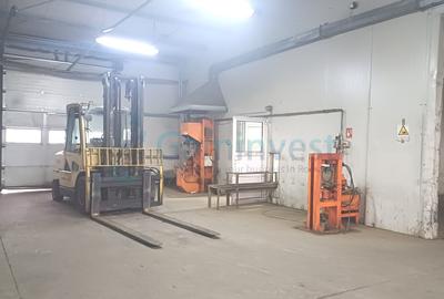 Spatiu industrial de vanzare in Biharia, hala 1200 mp si 23772 mp teren - 11