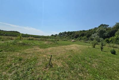 Teren extravilan de 720 mp, în Țegheș