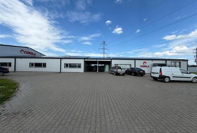 Spațiu Industrial Modern | Producție, Depozitare, Logistică - 21
