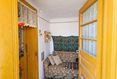 RECO Teren mare cu 2 case in Sabolciu, com. Sacadat - 11