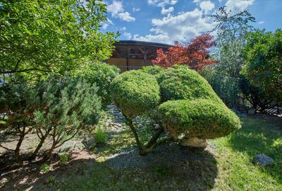 Reprezentare exclusivă · Casa dintre magnolii, Făget · 1.343 mp lângă pădure - 25