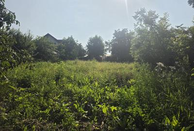 Branesti/Pasarea/Piteasca casa de vanzare deschidere la lac - 19