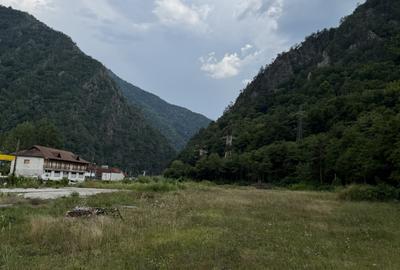Teren de vânzare – 13.500 mp | DN7 – Valea Oltului | Brezoi - 9