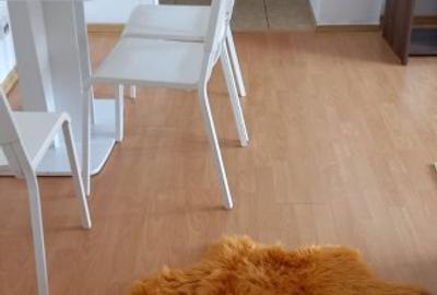 APARTAMENT 2 CAMERE PIATA ROMANA LINGA METROU - 22