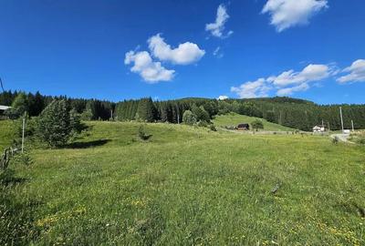 Teren intravilan Traisteni, Valea Doftanei – 2.290 mp, deschidere mare, padure - 7