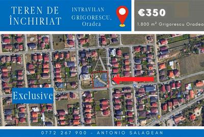 Antony Estate | Teren Intravilan de inchiriat - Grigorescu, Oradea - 1