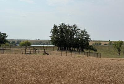 Teren intravilan Miersig, vedere la lac. 12,5 E/mp neg. Comision 0 - 6