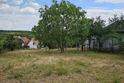 Teren Construcții intravilan de 780 mp, în Săldăbagiu de Munte
