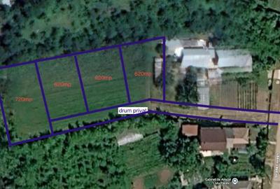 Teren Construcții intravilan de 720 mp, în Snagov