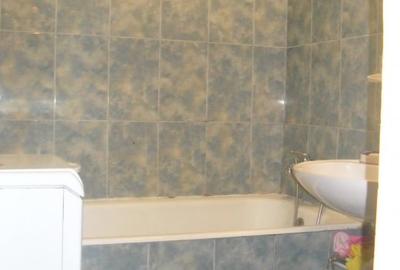 IANCULUI-METROU-MEGAMALL,2 cam ,decomandate, spatios,65 mp.  350 euro - 14