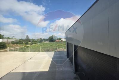 DE INCHIRIAT Hala industriala 596mp | Teren 2500mp | Buftea - 20