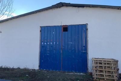Hale de inchiriat intre 100-1000 mp in Arad - 20