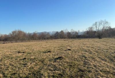 Oază de liniște cu vedere la munți – 2.400 mp lângă Aeroportul Sibiu (Cristian) - 3
