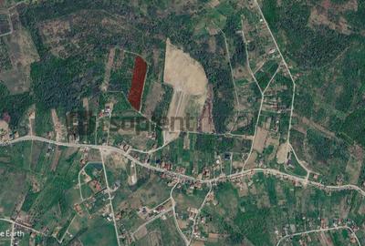 Sapient | Teren intravilan în Săldăbagiu de Munte 4.316 mp - 6
