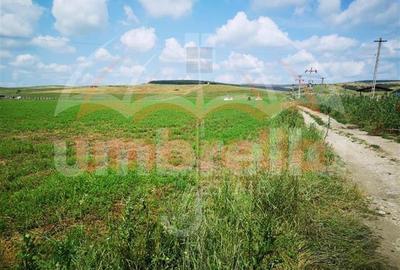 Teren de vanzare in Iclod  8.659m²/10€ m²  DN1 - 3