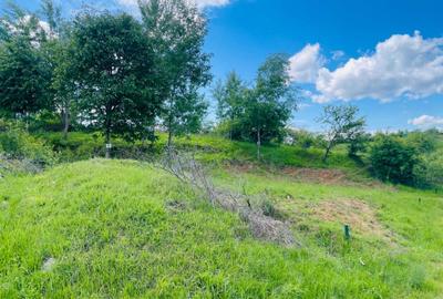 Teren de 500 mp, în Cisnădioara
