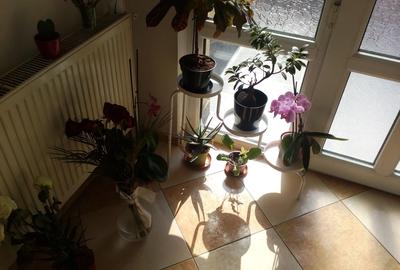 Izbiceni-Damaroaia-Casa Presei,P+E+M,zona verde,aerisita,casa luminoasa,6 camere - 3