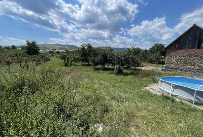 OPORTUNITATE DE INVESTIȚIE | CASĂ RENOVATĂ | 2.330 MP TEREN | BENIC - 4