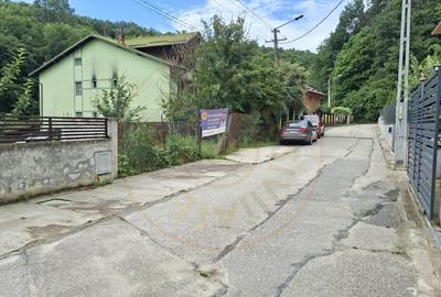 Teren intravilan 1203 mp Bascov-Florea zona Superba - 7