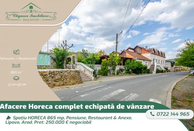 Spațiu HORECA 865 mp, Pensiune, Restaurant & Anexe, Lipova, Arad - 1