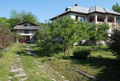 Vanzare casa mare cu etaj si 6200 mp teren intravilan Fieni, judetul Dambovita - 11